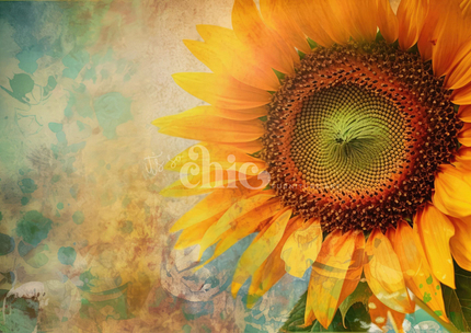 A vibrant, close-up image of a sunflower with bright yellow and orange petals radiating from a detailed green and brown center is captured on this Decoupage Paper | Craft Paper | Sunflower | A1/A2/A3 by It’s So Chic Furniture Art. The background features an artistic watercolor effect with shades of blue, green, and brown blending together beautifully.