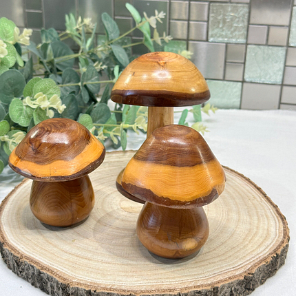 Set 3 Laburnum Wood Mushrooms Toadstools Ornaments Secret Compartment