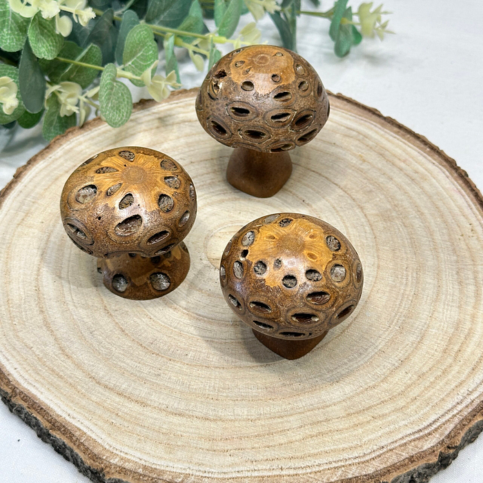 Set 3 Banksia Pod Mushrooms Wooden Fungi Ornaments Natural Decor Gift