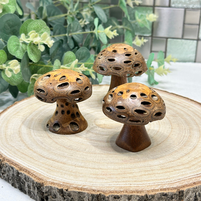 Set 3 Banksia Pod Mushrooms Wooden Fungi Ornaments Natural Decor Gift