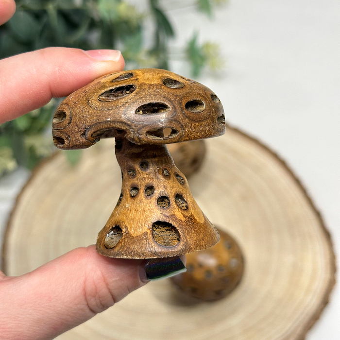 Set 3 Banksia Pod Mushrooms Wooden Fungi Ornaments Natural Decor Gift