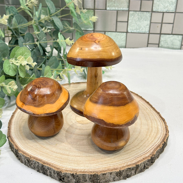 Set 3 Laburnum Wood Mushrooms Toadstools Ornaments Secret Compartment