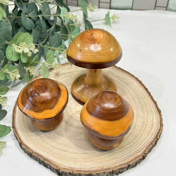 Set 3 Laburnum Wood Mushrooms Toadstools Ornaments Secret Compartment