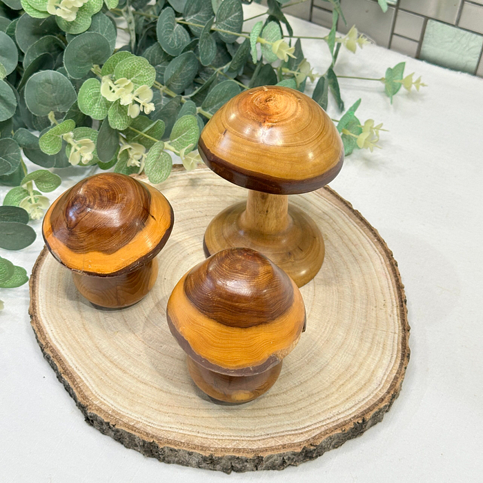 Set 3 Laburnum Wood Mushrooms Toadstools Ornaments Secret Compartment