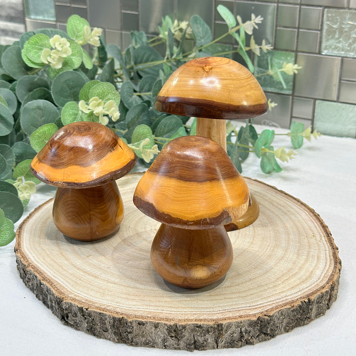 Set 3 Laburnum Wood Mushrooms Toadstools Ornaments Secret Compartment