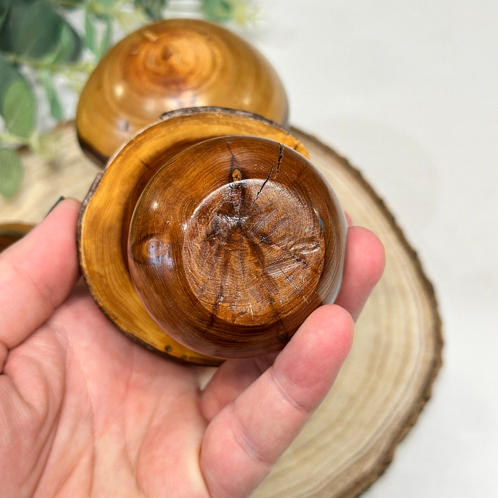 Set 3 Laburnum Wood Mushrooms Toadstools Ornaments Secret Compartment