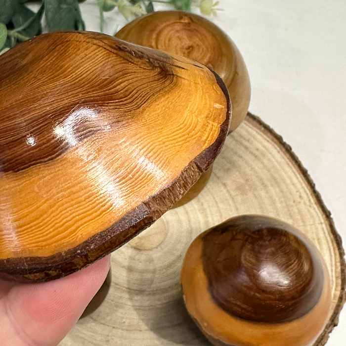 Set 3 Laburnum Wood Mushrooms Toadstools Ornaments Secret Compartment