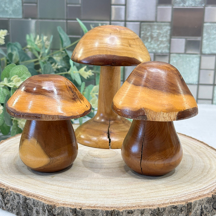 Set 3 Laburnum Wood Mushrooms Toadstools Ornaments Secret Compartment