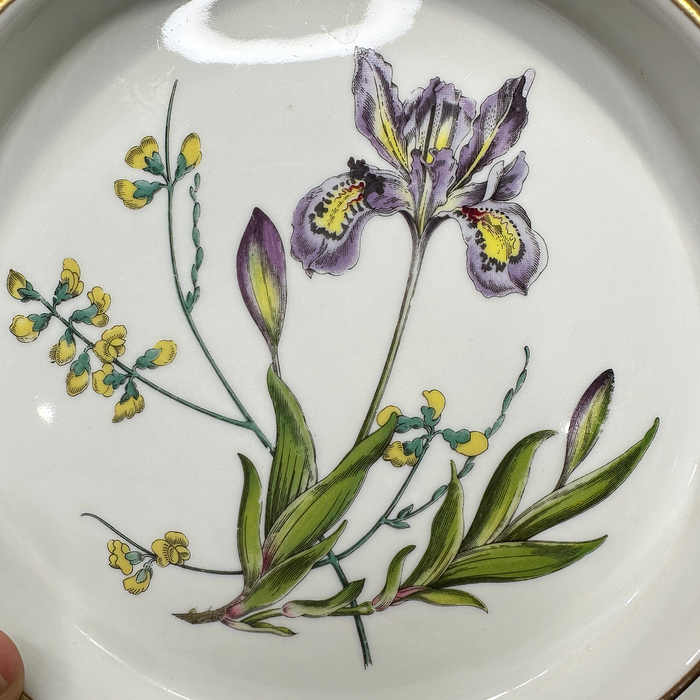 Spode Stafford Flowers Shortbread Tray Iris Sphaerolobium