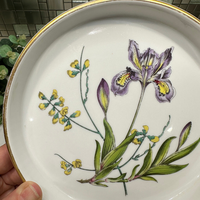 Spode Stafford Flowers Shortbread Tray Iris Sphaerolobium