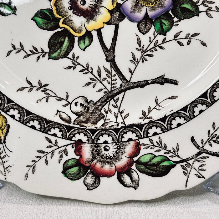 Alfred Meakin Medway Dinner Plate 10" Vintage 1930s Floral Butterfly England