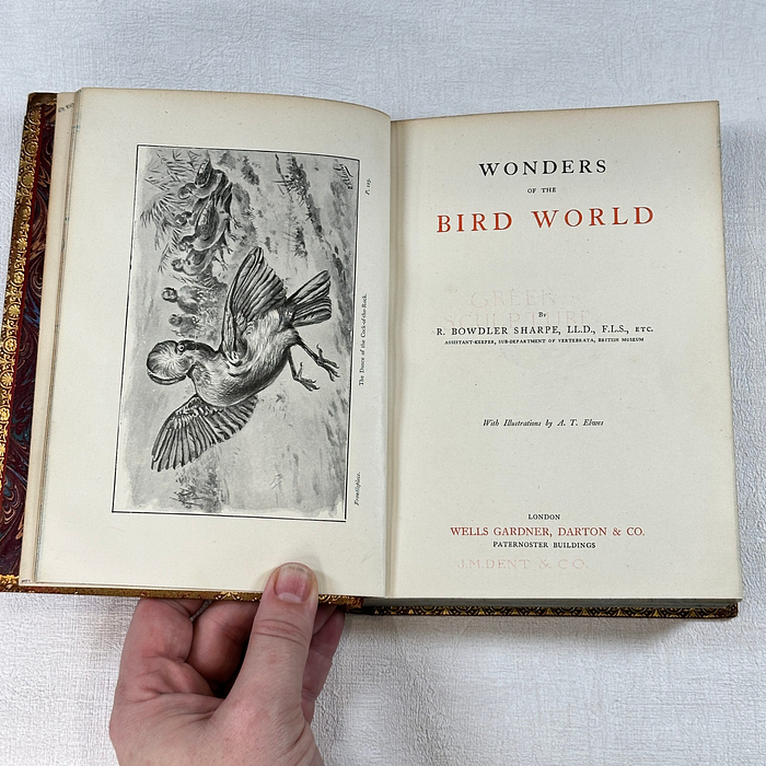 Wonders of the Bird World 1898 Prize Binding R Bowdler Sharpe Ornithology