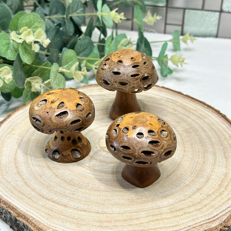 Set 3 Banksia Pod Mushrooms Wooden Fungi Ornaments Natural Decor Gift